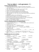 Test on subject – verb agreement pdf