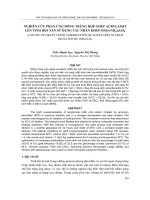 Báo cáo nghiên cứu khoa học: 