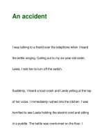 An accidentI was talking to a friend over the telephone pdf