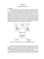 Giáo trình Lý thuyết các quá trình luyện kim - Chương 6 pdf