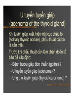 Giải phẫu bệnh - Bệnh tuyến giáp part 3 ppsx