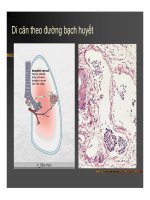 Giải phẫu bệnh - Ung thư part 9 doc