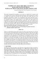 Báo cáo nghiên cứu khoa học: 