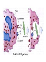 Bài giảng bệnh học viêm part 6 potx