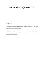 BIẾN CHỨNG NỘI SỌ DO TAI ppt