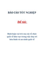Đề tài: Bình luận vai trò của các tổ chức quốc tế khu vực trong việc duy trì hòa bình và an ninh quốc tế pptx