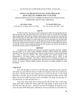 Báo cáo khoa học: 