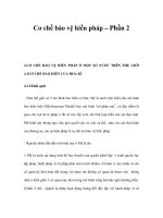 Cơ chế bảo vệ hiến pháp – Phần 2 pdf