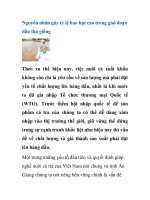 Nguyên nhân gây tỷ lệ hao hụt cao trong giai đoạn đầu thả giống pdf