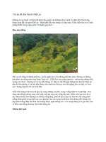 5 lý do để đón Noel ở Đà Lạt potx