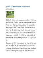 Một số kỹ thuật chuẩn bị ao nuôi cá lóc ppsx