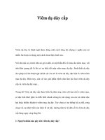 Viêm dạ dày cấp ppsx