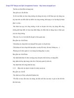 Phân tích dự án đầu tư mua máy móc thiết bị thi công đường bộ tại Cty 116 - p4 pdf