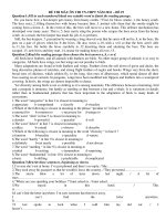 ĐỀ THI MẪU ÔN THI TN-THPT NĂM 2011 – ĐỀ 19 pot