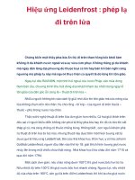 Hiệu ứng Leidenfrost : phép lạ đi trên lửa potx