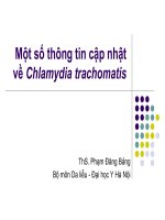 Một số thông tin cập nhật về Chlamydia trachomatis ppsx