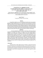 Báo cáo nghiên cứu khoa học: 