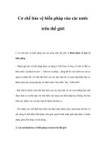 Cơ chế bảo vệ hiến pháp của các nước trên thế giới docx