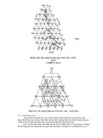 Giáo trình Lý thuyết các quá trình luyện kim - Chương 4 ppt