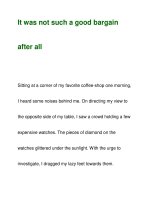 It was not such a good bargainaf ppt