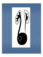 Bài giảng một số bất thường bẩm sinh bộ máy tiết niệu part 9 pot