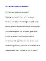 Why people should go to university? pps