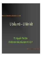 Giải phẫu bệnh - U biểu mô, U liên kết part 1 pot