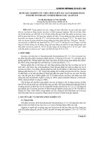 Báo cáo nghiên cứu khoa học: 