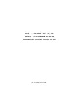 CÔNG TY cổ PHẦN vận tải và THUÊ tàu báo cáo tài CHÍNH đã được KIỂM TOÁN cho năm tài chính kết thúc ngày 31 tháng 12 năm 2013