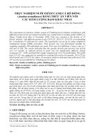 Báo cáo nghiên cứu khoa học: 