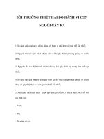 BỒI THƯỜNG THIỆT HẠI DO HÀNH VI CON NGƯỜI GÂY RA potx