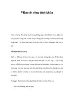 Viêm cột sống dính khớp pdf