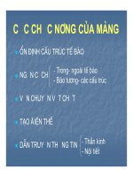 Bài giảng trao đổi chất qua màng tế bào part 2 doc