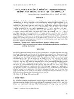 Báo cáo nghiên cứu khoa học: 