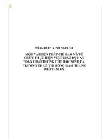 skkn một vài biện pháp chỉ đạo và tổ chức thực hiện việc giáo dục an toàn giao thông cho học sinh tại trường th lê thị hồng gấm thành phố tam kỳ