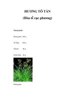 HƯƠNG TÔ TÁN (Hòa tễ cục phương) pdf