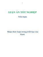Tiểu luận: Nhận thức luận trong triết học của Kant pps