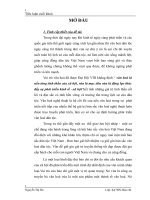 Tiểu luận - Giữ gìn và phát huy văn hoá nghệ thuật pptx