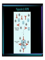 Bài giảng : Xét nghiệm và chẩn đoán bệnh giang mai part 4 potx