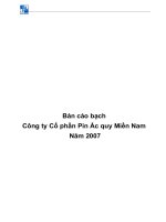 Bản cáo bạch công ty cổ phần pin ắc quy miền nam năm 2007