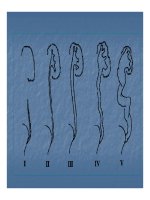 Bài giảng bệnh lý hay gặp của bàng quang part 4 pot