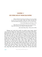 Các sóng dài trọng lực trong đại dương - Chương 3 doc