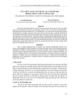 Báo cáo nghiên cứu khoa học: 