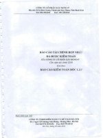 báo cáo tài chính hợp nhất đã được kiểm toán công ty cổ phần xây dựng 47 cho năm tài chính 2010 kèm theo báo cáo kiểm toán độc lập