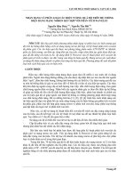 Báo cáo nghiên cứu khoa học: 