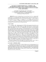 Báo cáo nghiên cứu khoa học: 