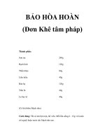 BẢO HÒA HOÀN (Đơn Khê tâm pháp) ppsx
