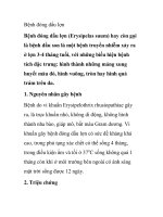 Bệnh đóng dấu lợn doc