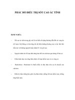 PHÁC ĐỒ ĐIỀU TRỊ SỐT CAO ÁC TÍNHĐỊNH NGHĨ pps