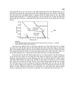 Khí tượng học synốp (Phần nhiệt đới) - Trần Công Minh Phần 9 pot